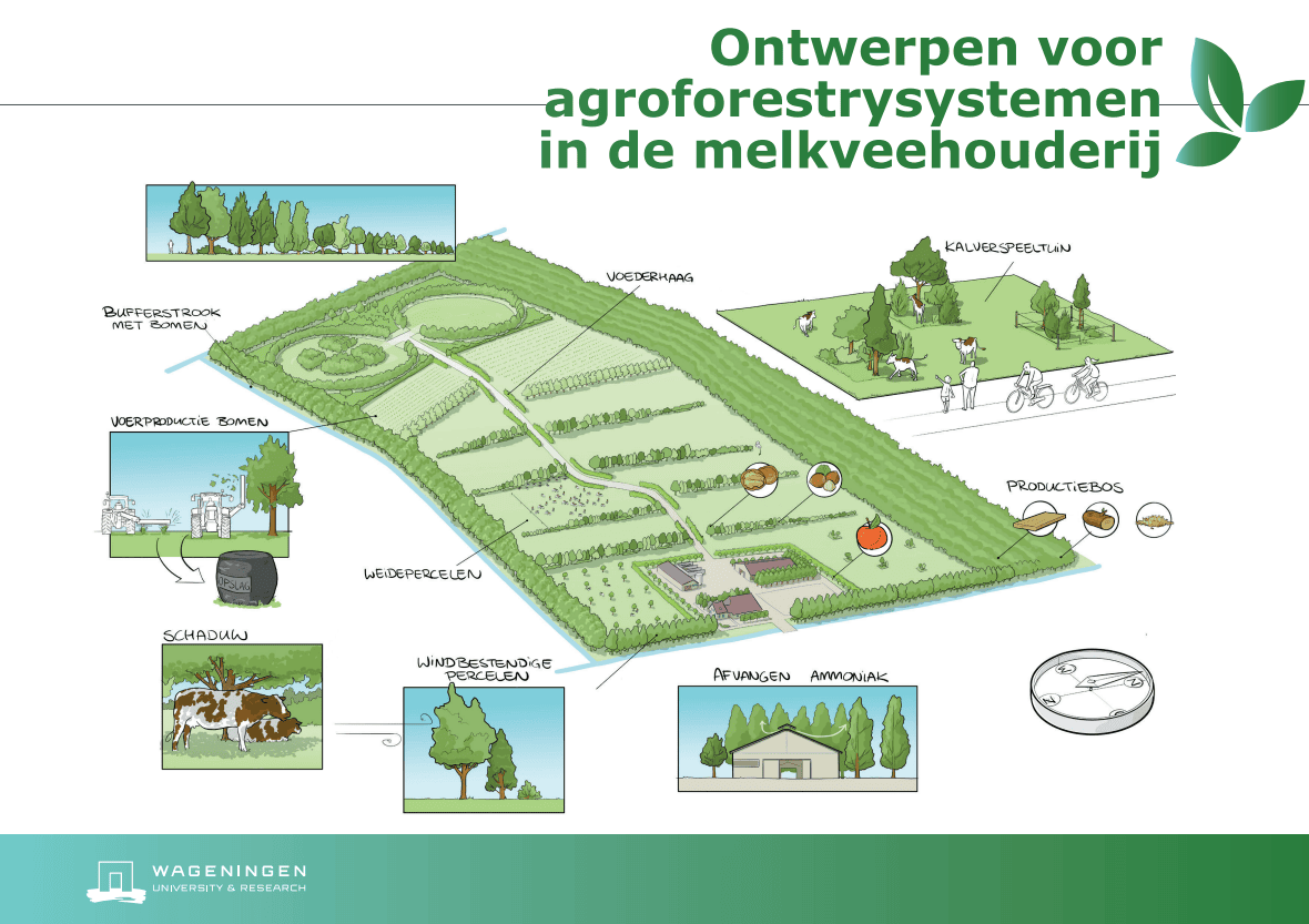 brochure ontwerp agroforestry melkveehouderij