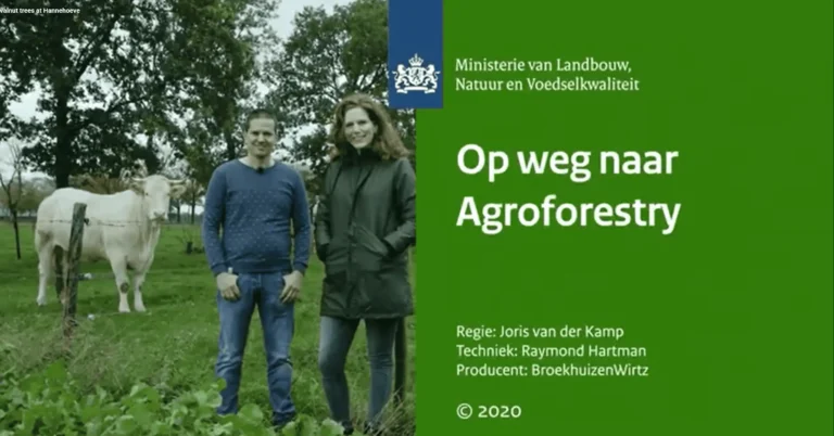 Future Farmers Film Productions