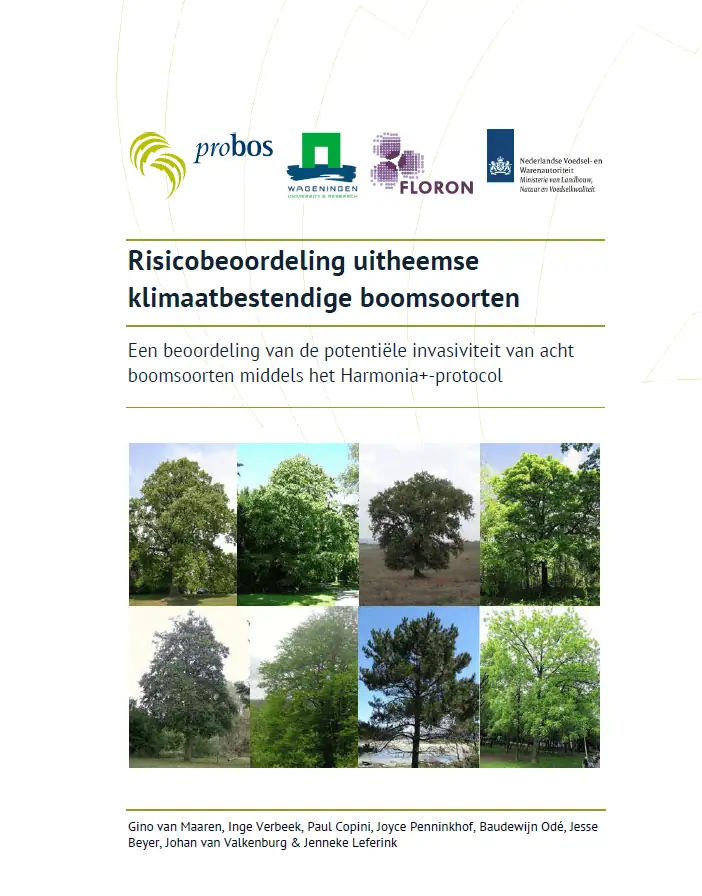 Risico uitheemse boomsoorten