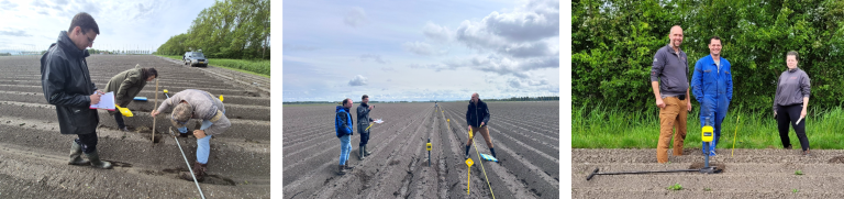 Boeren in drie provincies starten onderzoek naar robuuste akkerbouw en bomen