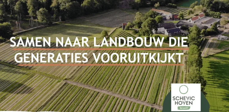 Schevichoven groeit