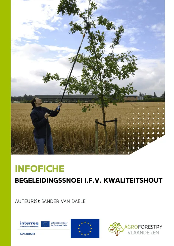 Boomsnoei voor kwaliteitshout