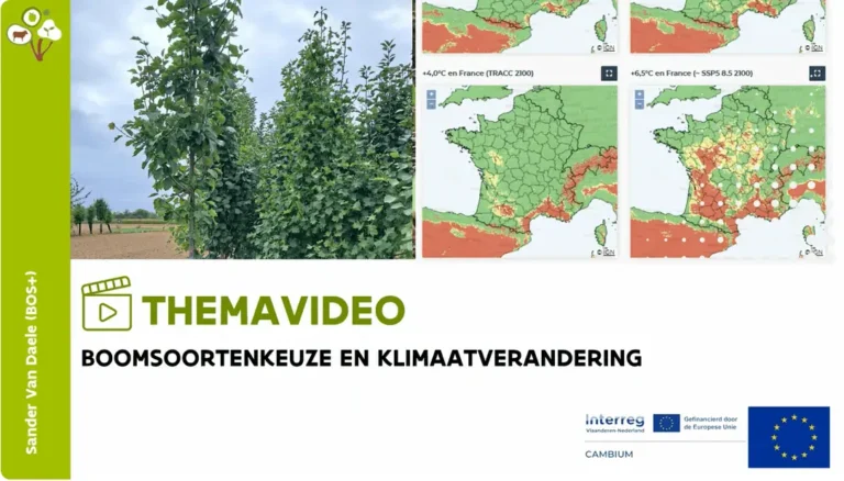 video_boomsoortenkeuze_klimaat
