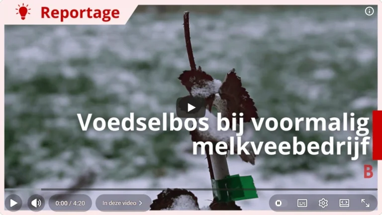 Voedselbos reportage