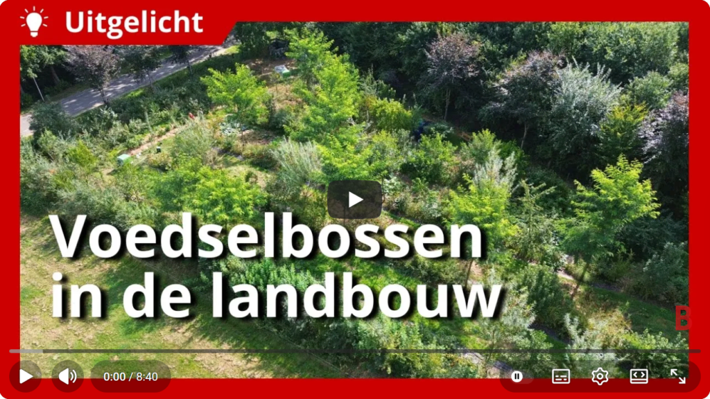voedselbossen in de landbouw