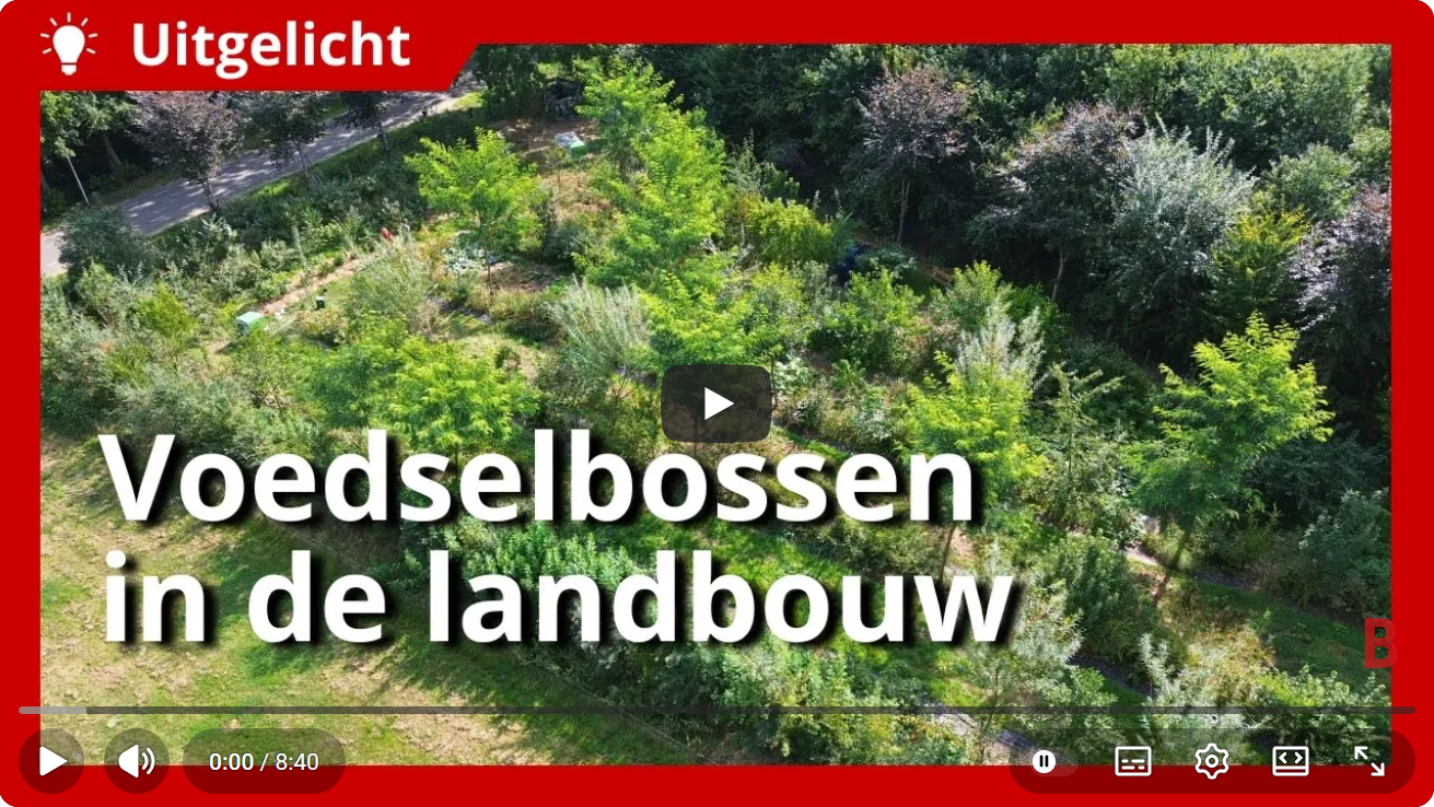 voedselbossen in de landbouw
