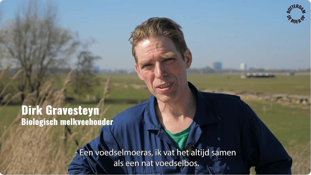 Voedselmoeras Zuid-Holland