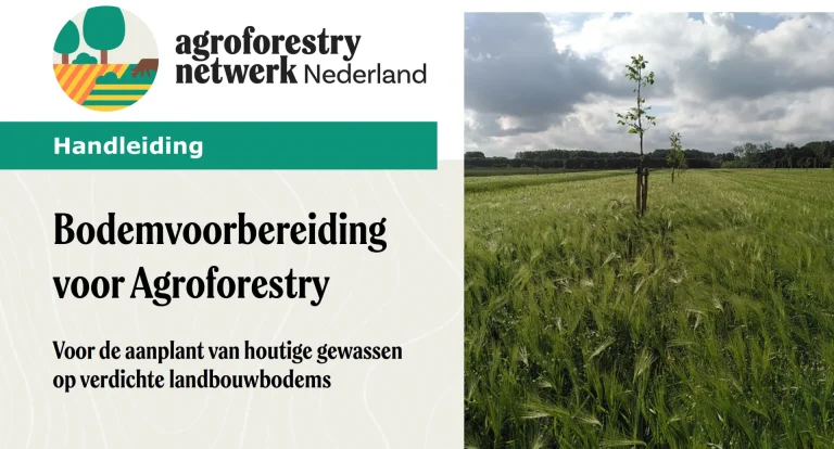 Handleiding over bodemvoorbereiding voor agroforestry en het aanplanten van houtige gewassen op verdichte landbouwbodems