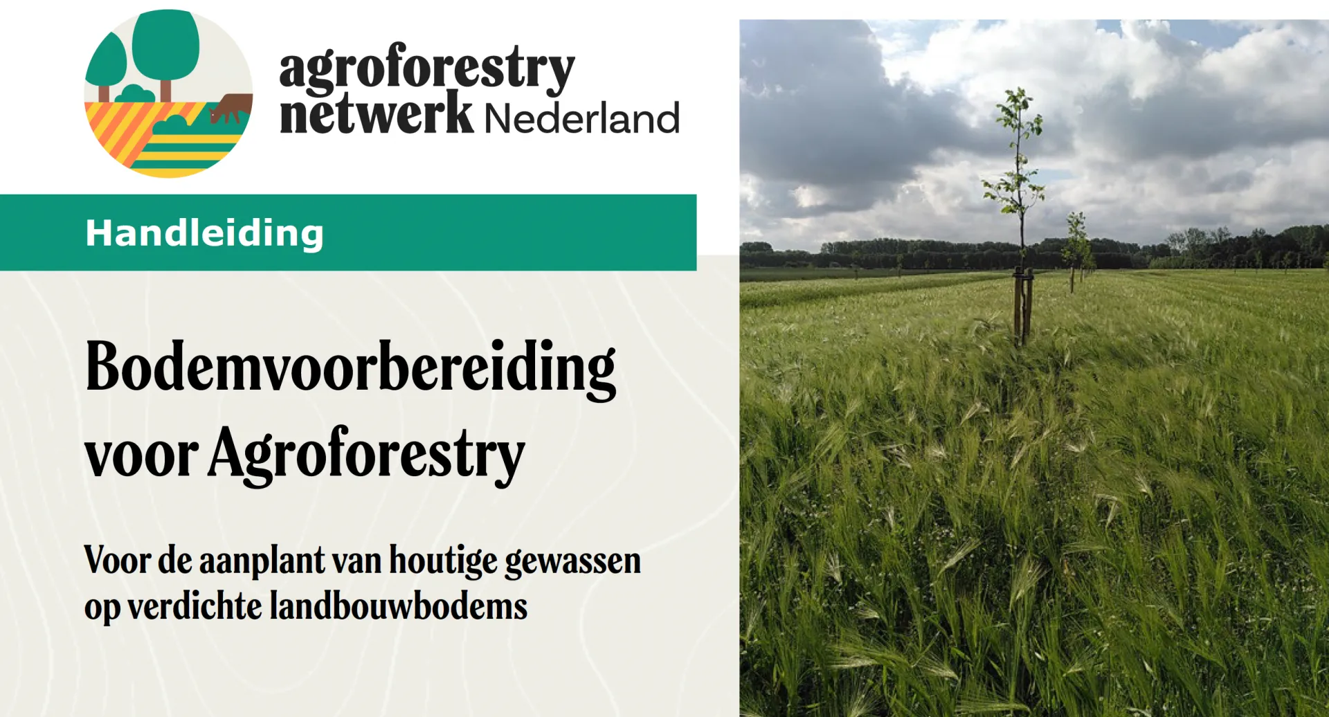 Handleiding over bodemvoorbereiding voor agroforestry en het aanplanten van houtige gewassen op verdichte landbouwbodems