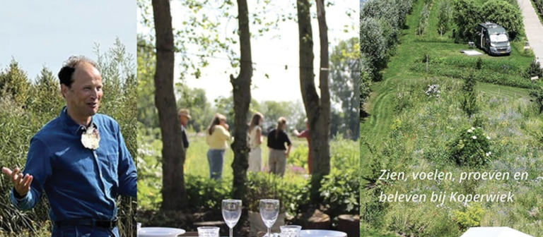 mensen en bomen in beeld op kwekerij koperwiek